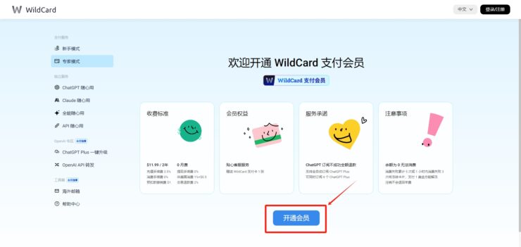 WildCard快速订阅ChatGPT Plus教程-图片3